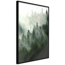 Poster - Steaming Forest  - zwart