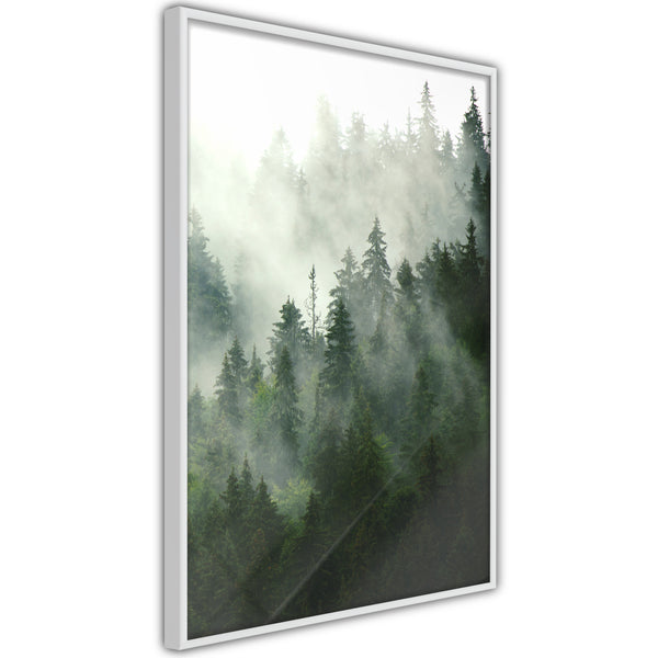Poster - Steaming Forest  - wit