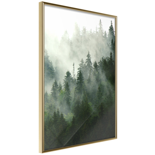 Poster - Steaming Forest  - goud