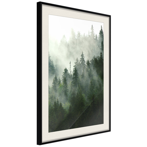 Poster - Steaming Forest  - zwart passepartout