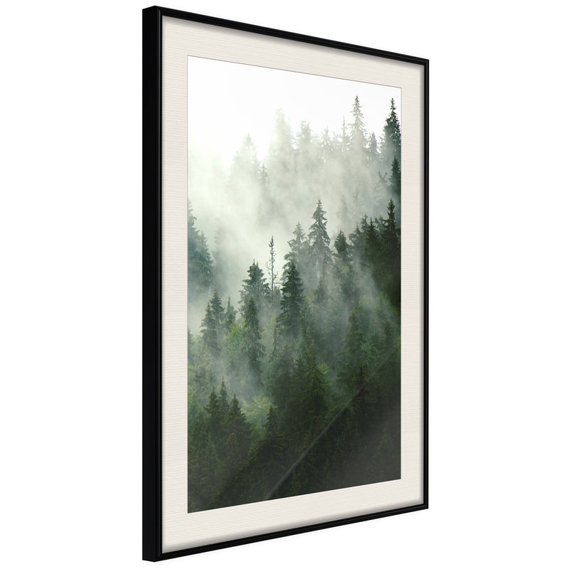 Poster - Steaming Forest  - zwart passepartout