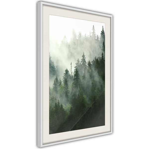 Poster - Steaming Forest  - wit passepartout