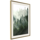 Poster - Steaming Forest  - goud passepartout