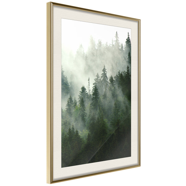 Poster - Steaming Forest  - goud passepartout