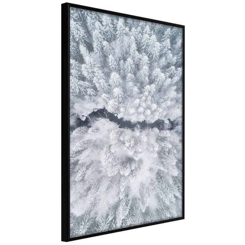 Poster - Winter Forest From a Bird's Eye View  - zwart