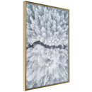 Poster - Winter Forest From a Bird's Eye View  - goud