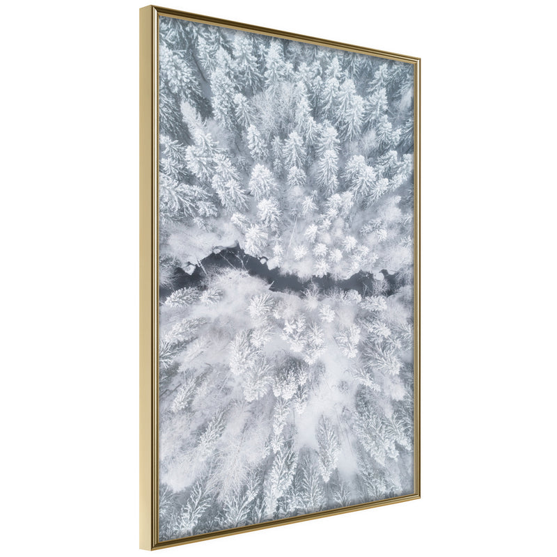 Poster - Winter Forest From a Bird's Eye View  - goud