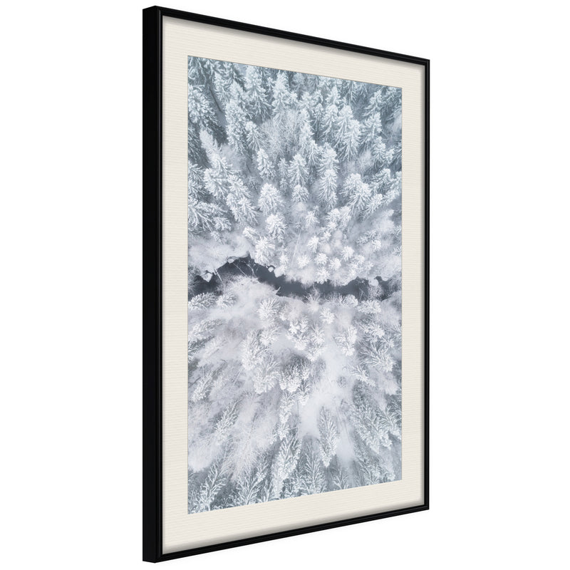 Poster - Winter Forest From a Bird's Eye View  - zwart passepartout