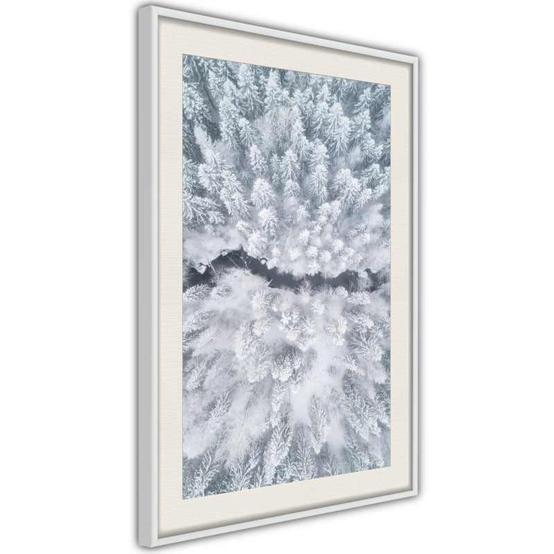 Poster - Winter Forest From a Bird's Eye View  - wit passepartout