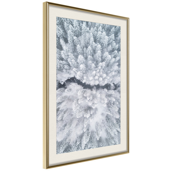 Poster - Winter Forest From a Bird's Eye View  - goud passepartout