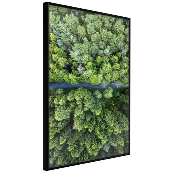 Poster - Forest from a Bird's Eye View  - zwart