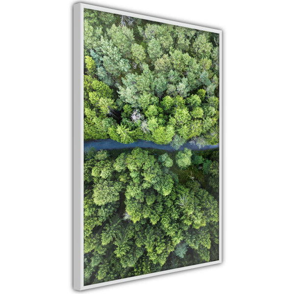 Poster - Forest from a Bird's Eye View  - wit