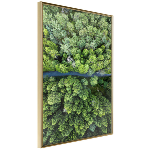 Poster - Forest from a Bird's Eye View  - goud