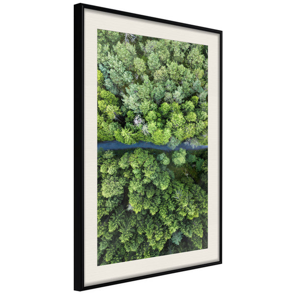 Poster - Forest from a Bird's Eye View  - zwart passepartout