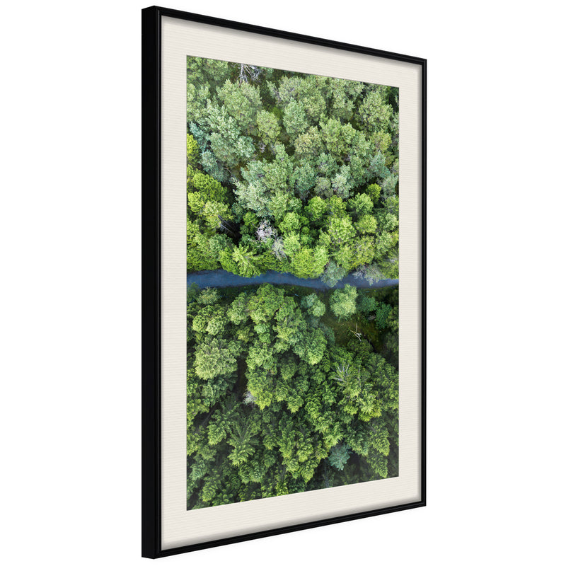Poster - Forest from a Bird's Eye View  - zwart passepartout