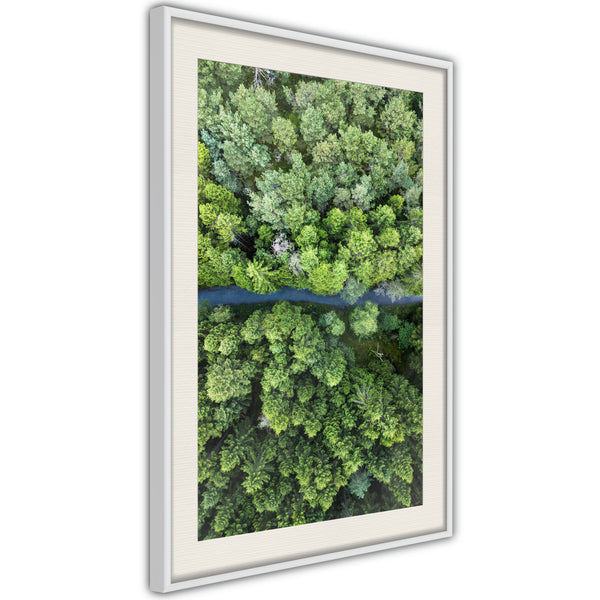 Poster - Forest from a Bird's Eye View  - wit passepartout