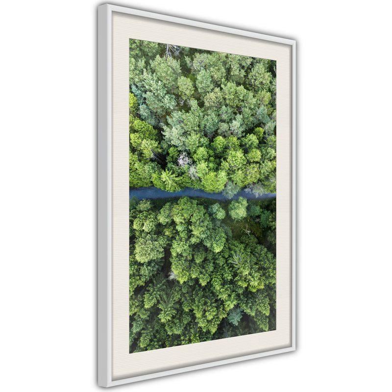Poster - Forest from a Bird's Eye View  - wit passepartout
