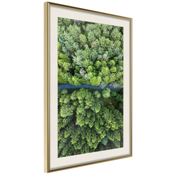 Poster - Forest from a Bird's Eye View  - goud passepartout
