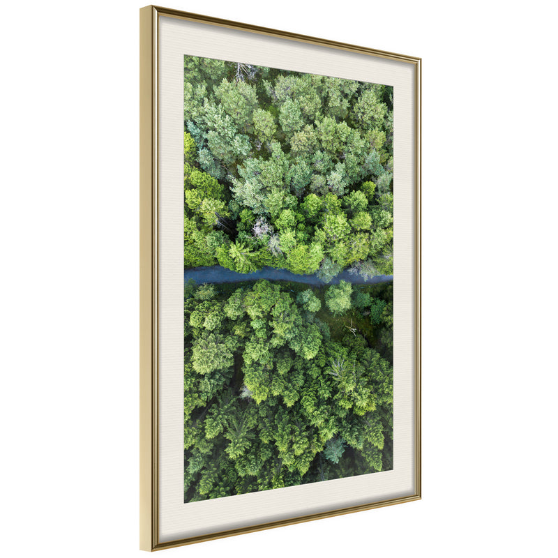 Poster - Forest from a Bird's Eye View  - goud passepartout
