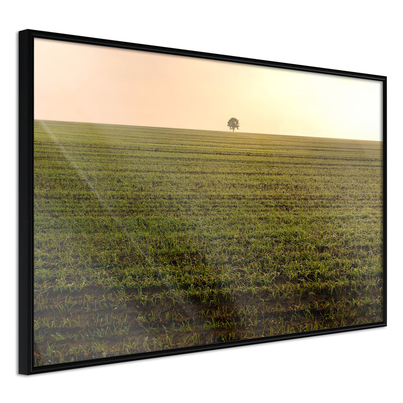 Poster - Farmland  - zwart