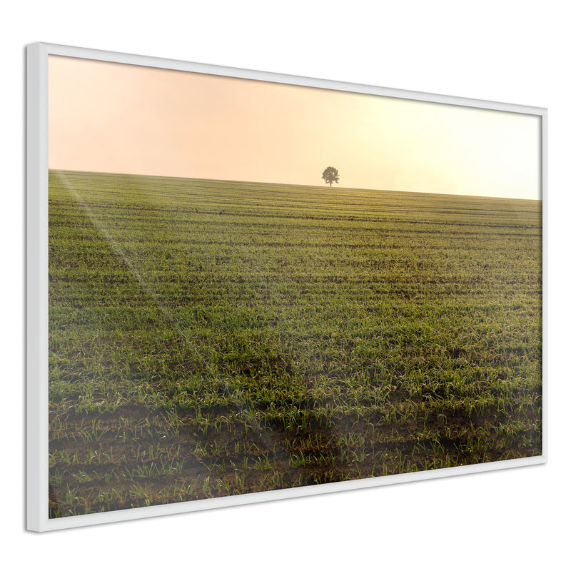 Poster - Farmland  - wit