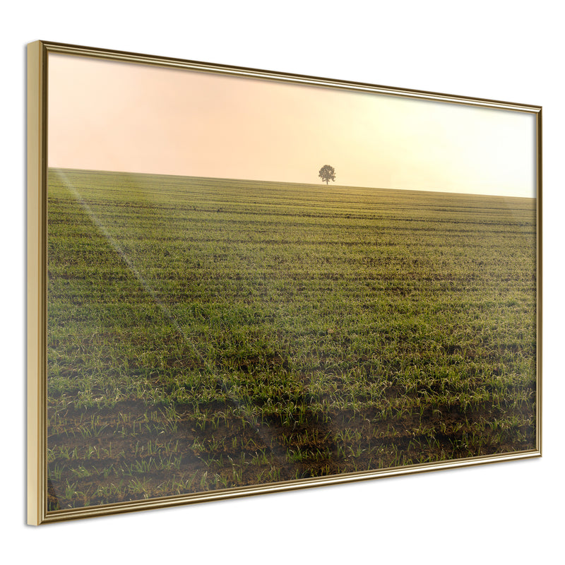 Poster - Farmland  - goud
