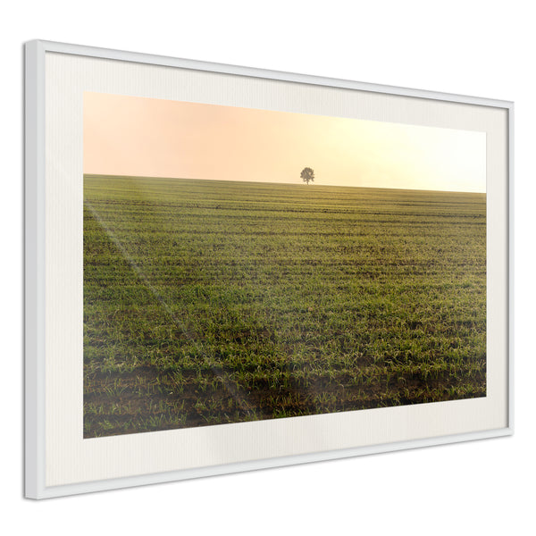Poster - Farmland  - wit passepartout