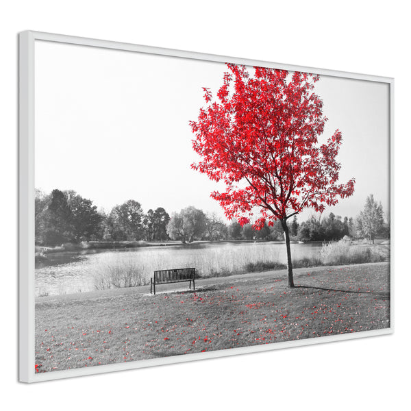Poster - Autumn Colours I  - wit