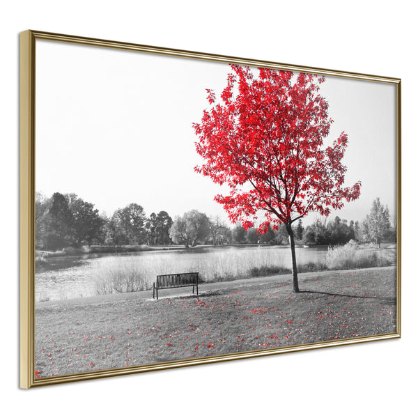 Poster - Autumn Colours I  - goud
