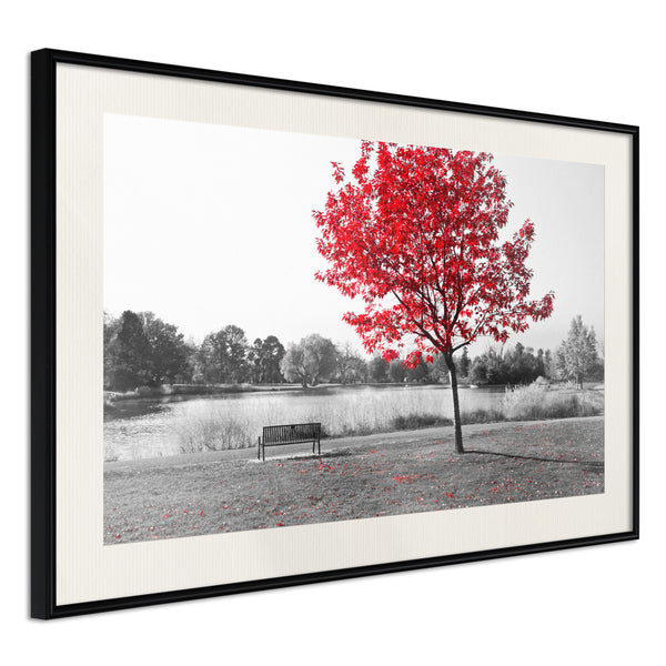 Poster - Autumn Colours I  - zwart passepartout