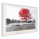 Poster - Autumn Colours I  - wit passepartout