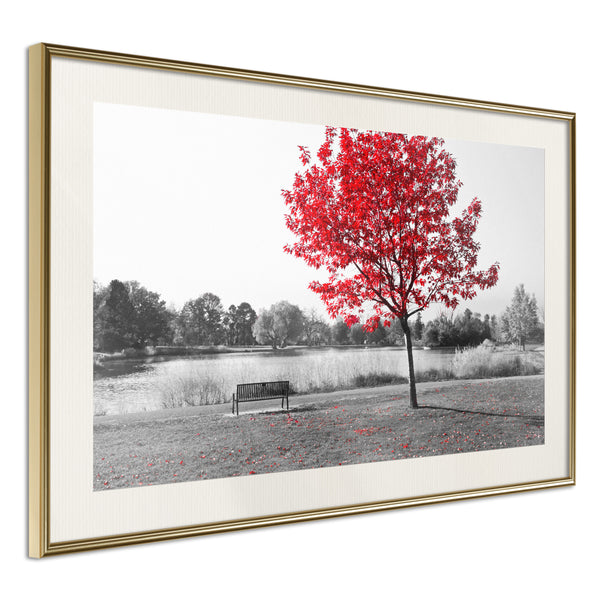 Poster - Autumn Colours I  - goud passepartout