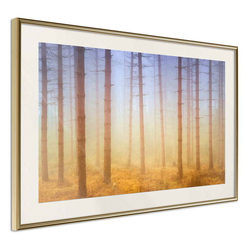 Poster - Fog or Smoke?  - goud passepartout