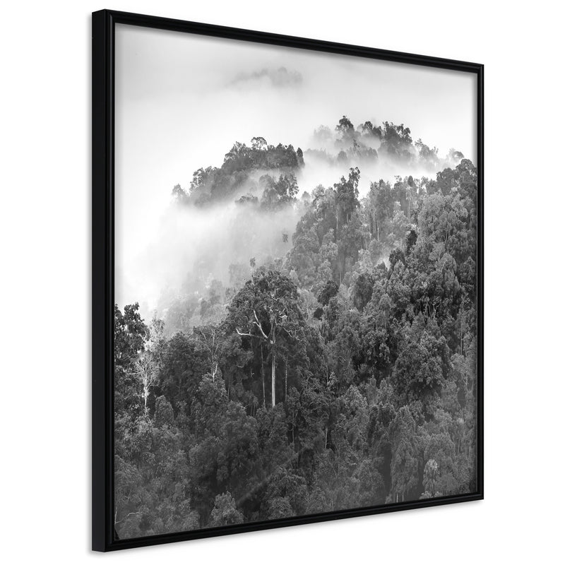 Poster - Foggy Forest  - zwart