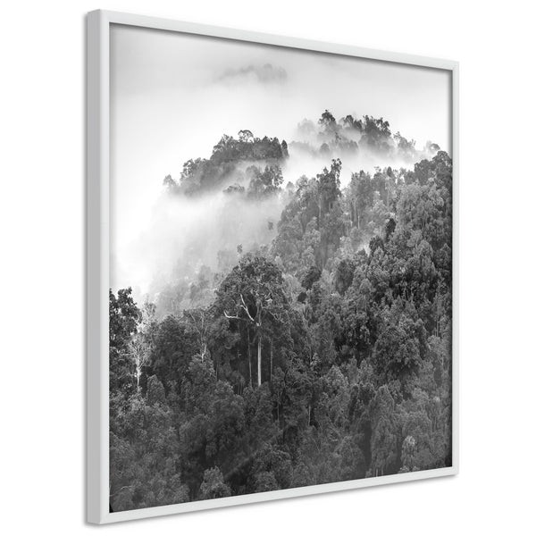 Poster - Foggy Forest  - wit