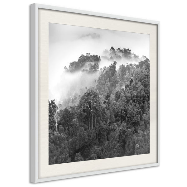 Poster - Foggy Forest  - wit passepartout