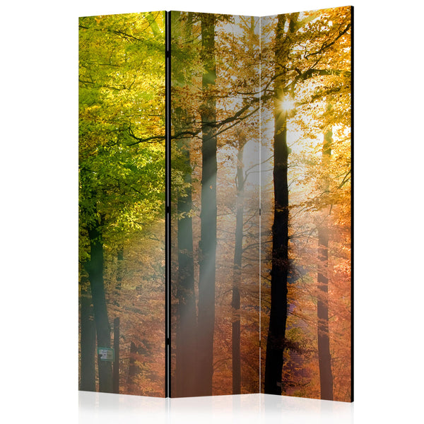 https://www.fotoartgeist.pl/ebaytemp/parawan/c-B-0444-z-b/c-B-0444-z-b-eb1.jpg