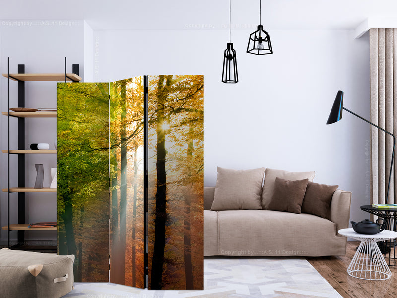 https://www.fotoartgeist.pl/ebaytemp/parawan/c-B-0444-z-b/c-B-0444-z-b-ebVis2.jpg