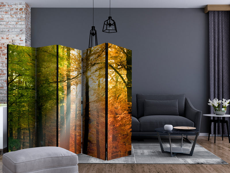https://www.fotoartgeist.pl/ebaytemp/parawan/c-B-0444-z-c/c-B-0444-z-c-ebVis2.jpg