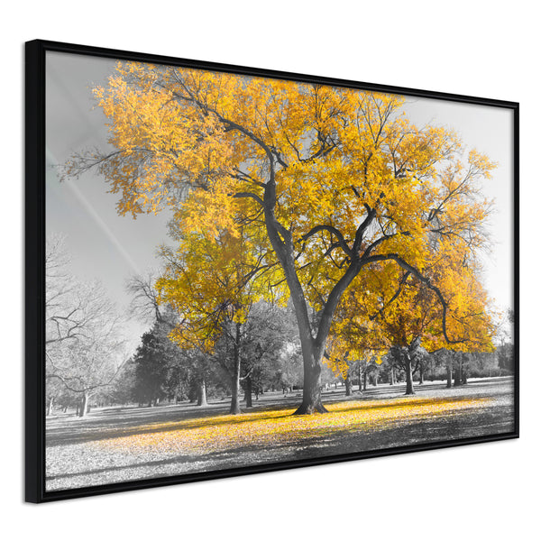 Poster - Golden Tree  - zwart
