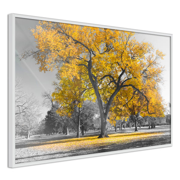 Poster - Golden Tree  - wit