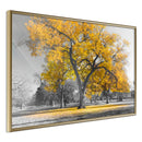 Poster - Golden Tree  - goud