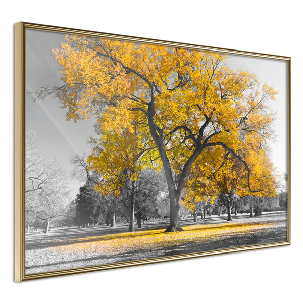 Poster - Golden Tree  - goud