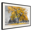 Poster - Golden Tree  - zwart passepartout