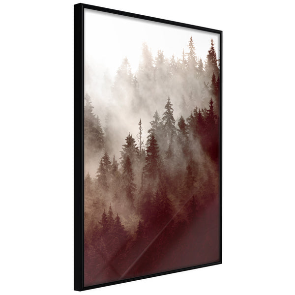 Poster - Forest Fog  - zwart