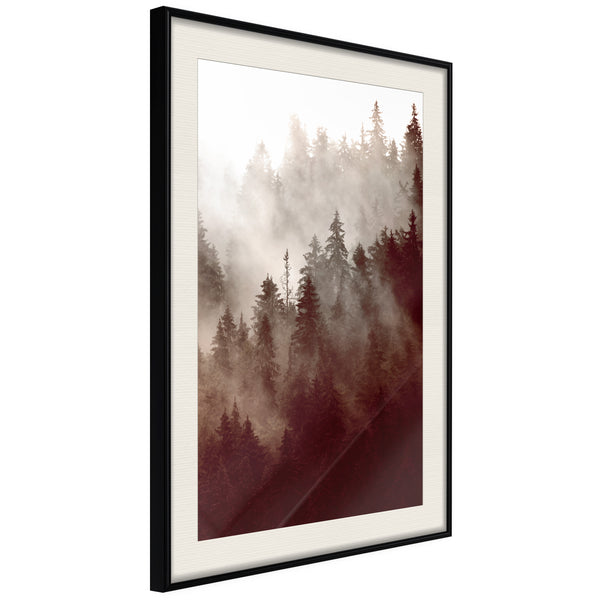 Poster - Forest Fog  - zwart passepartout