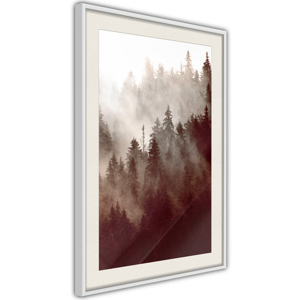 Poster - Forest Fog  - wit passepartout