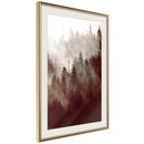 Poster - Forest Fog  - goud passepartout