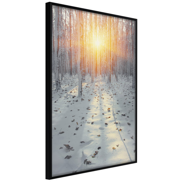 Poster - Frosty Sunset  - zwart