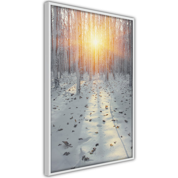 Poster - Frosty Sunset  - wit